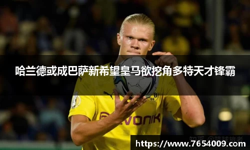 bsports登录入口