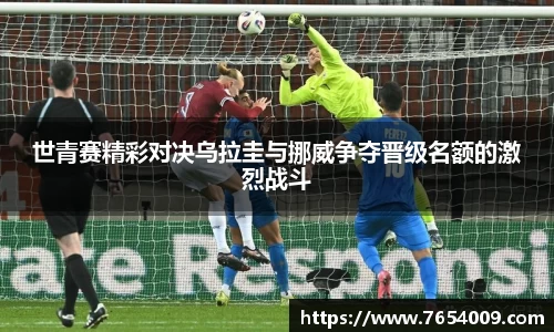 bsports登录入口