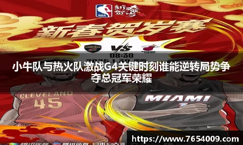 小牛队与热火队激战G4关键时刻谁能逆转局势争夺总冠军荣耀